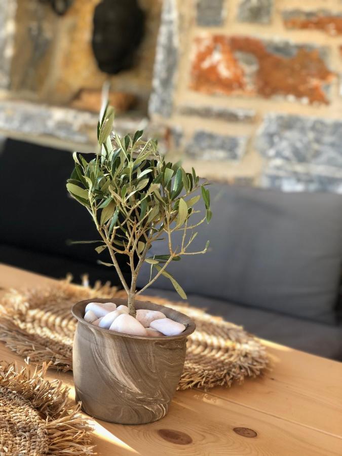 Harmony Luxury Naxos * Kastrákion